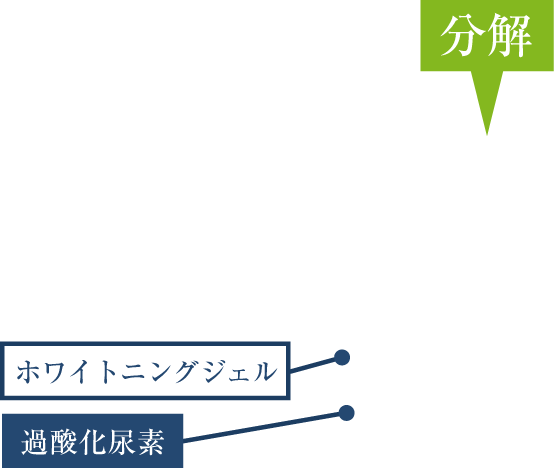 ホワイトニングよる色素の分解